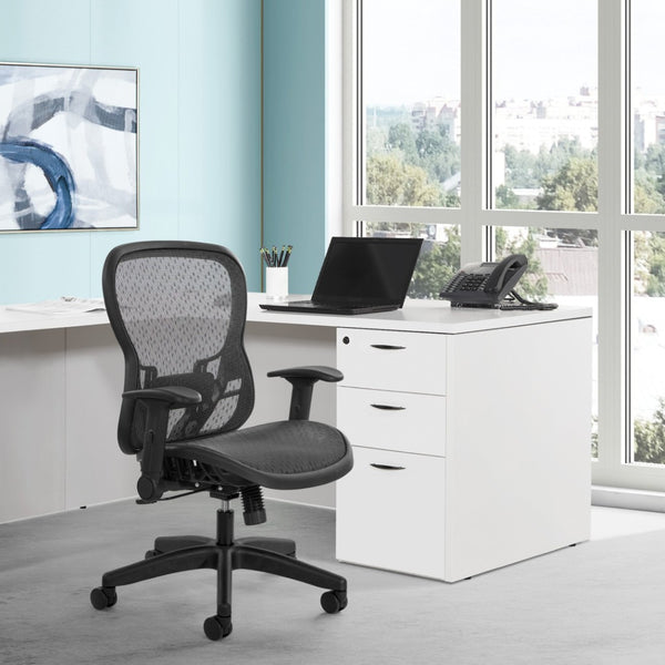 OSP Home Furnishings Deluxe R2 Mesh Ergonomic Office Chair with Lumbar Support and Synchro Tilt Control 529R-R22N1F2