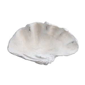 Crestview Collection Henley Shell Sculpture - Elegant Crestview Decorative Accent For Coastal-inspired Home Décor   Cvdzep049