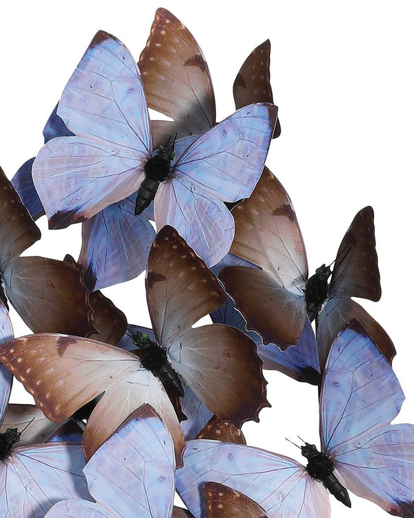 Currey & Company Rue De Bac Enchanting Medium Butterflies In Soft Blue & Pink - Elegantly Displayed Glass Dome Decor Blue Paper ,Engineered Wood ,Glass 1200-0977-currey-company