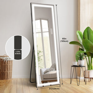 English Elm LED Mirror Full Length with Aviation Aluminum Frame, Explosion-Proof Glass, Dimmable Lights, Stand-Up W2709P178789