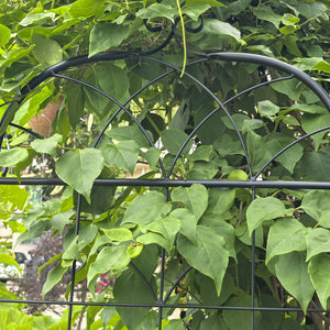 English Elm Metal Garden Trellis Set - Durable 2-Piece Climbing Plant Support For Stylish Indoor/Outdoor Decor W840P321536