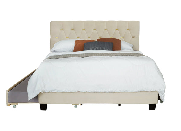 English Elm MODERN Velvet Queen Bed with Twin Trundle, 2 Storage Drawers, Gold Button Accents, 600lb Capacity Beige W1867S00015