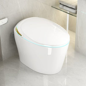 English Elm Unique Smart One Piece Toilet Bidet Heated Seat Auto Flush Warm Air Dryer Spa W3133P384811