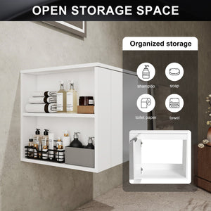 English Elm 24" Modern Bathroom Vanity Cabinet For Large Spaces - Stylish Storage & Customizable Sink Options W1972P204942