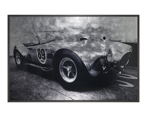 Sunpan Cobra 427 Vintage Wall Art - Luxe Collection with Handcrafted Silver Leaf & Charcoal Frame Decor