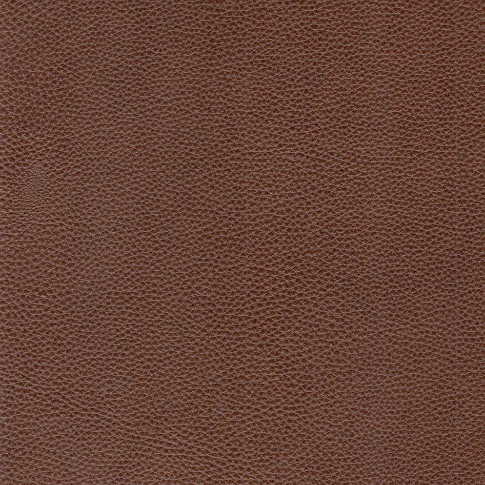 English Elm Modern Leather Sofa Light Brown - Contemporary 82.5" 3-Seater with High-Resilience Foam, Sinuous Coil Support B193P200163