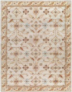 Livabliss Caesar Hand Tufted Wool Area Rug Traditional Pattern for Large Living Dining Rooms Dusty Sage, Tan 8' x 11' CAE1084-811