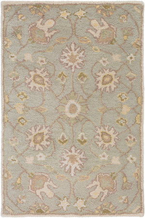 Caesar CAE-1121 2' x 3' Handmade Rug CAE1121-23 Livabliss Surya