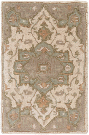 Caesar CAE-1143 2' x 3' Handmade Rug CAE1143-23 Livabliss Surya