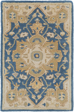 Caesar CAE-1145 2' x 3' Handmade Rug CAE1145-23 Livabliss Surya