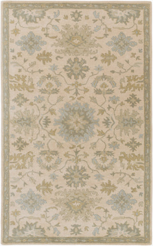 Livabliss Caesar Hand Tufted Wool Area Rug Traditional Pattern for Living Room or Dining Light Beige, Pa 6' x 9' Rectangle CAE1161-69