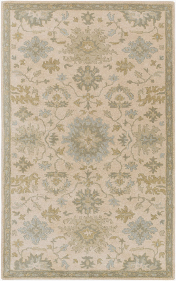 Livabliss Caesar Hand Tufted Wool Area Rug Traditional Pattern for Living Room or Dining Light Beige, Pa 6' x 9' Rectangle CAE1161-69