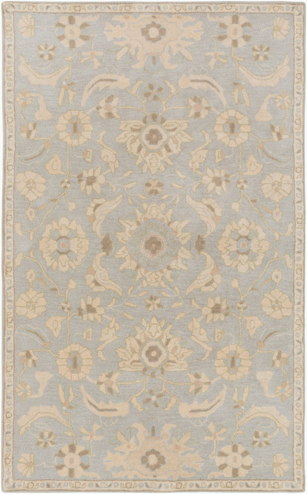 Livabliss Caesar Hand Tufted Wool Area Rug Classic Traditional Pattern for Living Room Pale Blue, Beig 2' x 3' CAE1162-23