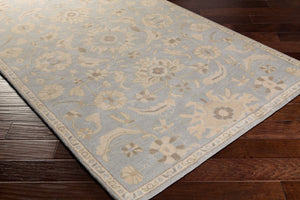 Livabliss Caesar Hand Tufted Wool Area Rug Classic Traditional Pattern for Living Room Pale Blue, Beig 2' x 3' CAE1162-23