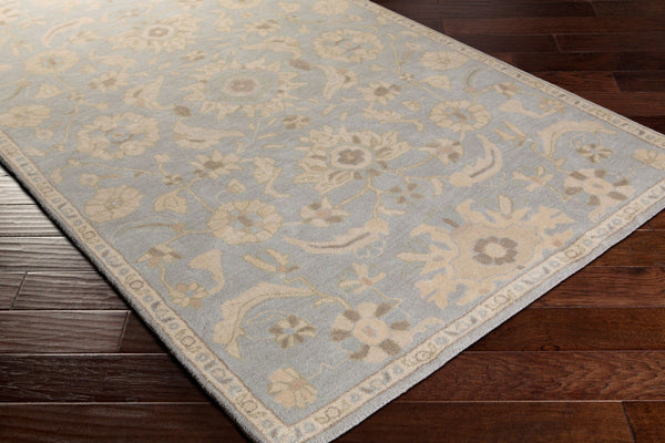 Livabliss Caesar Hand Tufted Wool Area Rug Classic Traditional Pattern for Living Room Pale Blue, Beig 2' x 3' CAE1162-23