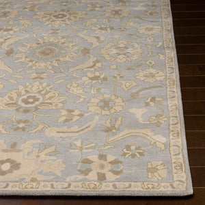 Livabliss Caesar Hand Tufted Wool Area Rug Classic Traditional Pattern for Living Room Pale Blue, Beig 2' x 3' CAE1162-23