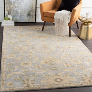 Livabliss Caesar Hand Tufted Wool Area Rug Classic Traditional Pattern for Living Room Pale Blue, Beig 2' x 3' CAE1162-23