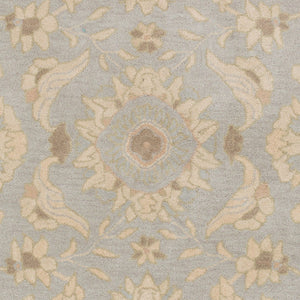 Livabliss Caesar Hand Tufted Wool Area Rug Classic Traditional Pattern for Living Room Pale Blue, Beig 2' x 3' CAE1162-23