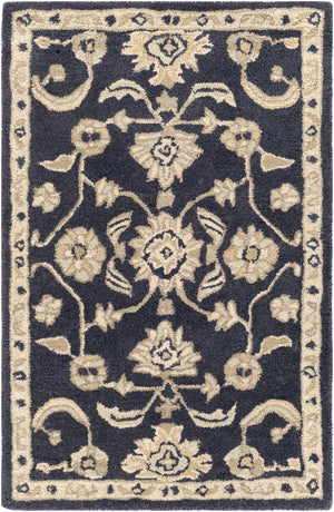 Caesar CAE-1164 2' x 3' Handmade Rug CAE1164-23 Livabliss Surya