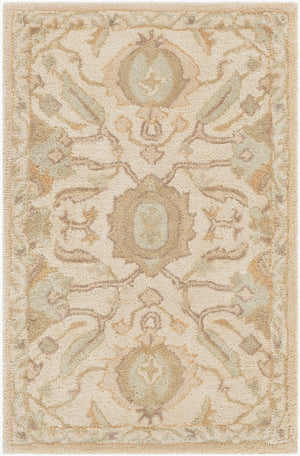 Livabliss Caesar Hand Tufted Wool Area Rug Traditional Pattern for Living Room or Dining Space Cream, Light Br 2' x 3' CAE1166-23