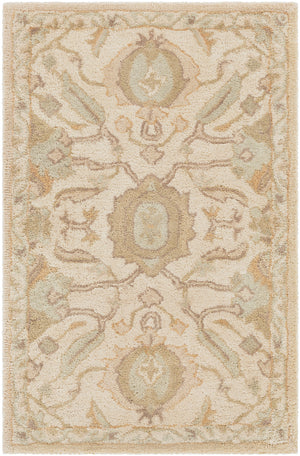 Caesar CAE-1166 2' x 3' Handmade Rug CAE1166-23 Livabliss Surya