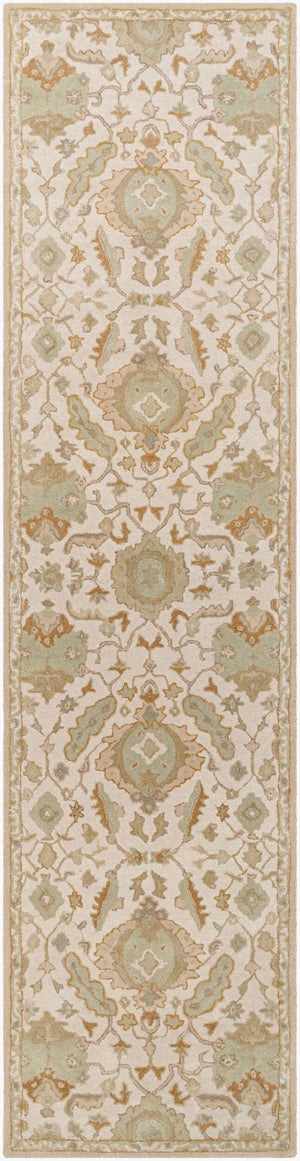 Livabliss Caesar Hand Tufted Wool Area Rug Traditional Pattern for Living Room or Dining Space Cream, Light Br 3' x 12' CAE1166-312