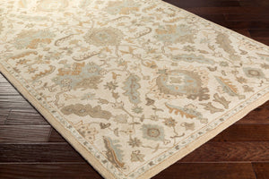Livabliss Caesar Hand Tufted Wool Area Rug Traditional Pattern for Living Room or Dining Space Cream, Light Br 8' x 8' Square CAE1166-8SQ