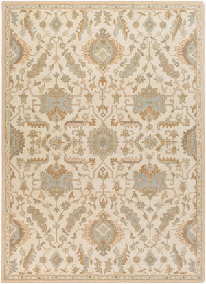 Livabliss Caesar Hand Tufted Wool Area Rug Traditional Pattern for Living Room or Dining Space Cream, Light Br 8' x 11' CAE1166-811