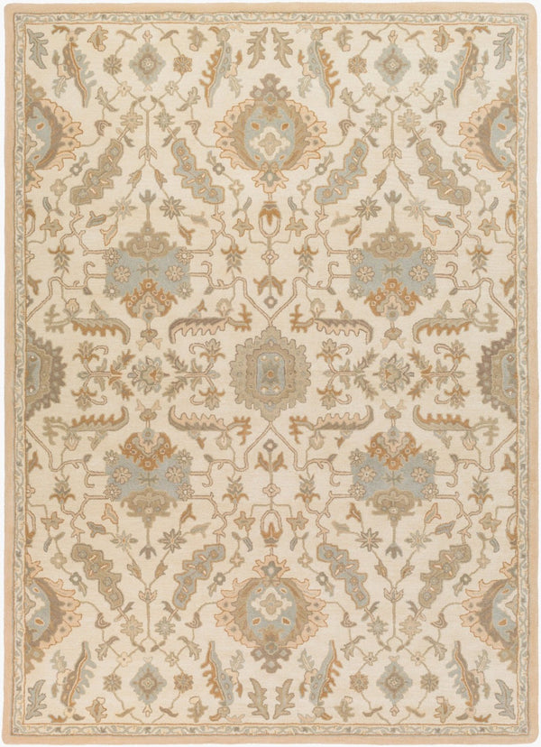 Livabliss Caesar Hand Tufted Wool Area Rug Traditional Pattern for Living Room or Dining Space Cream, Light Br 8' x 11' CAE1166-811