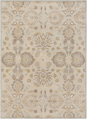 Livabliss Caesar Hand Tufted Wool Area Rug Traditional Pattern for Large Living Dining Rooms Pale Blue, Taup 8' x 11' CAE1192-811