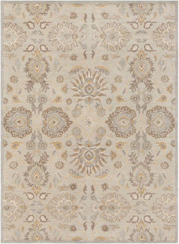 Livabliss Caesar Hand Tufted Wool Area Rug Traditional Pattern for Large Living Dining Rooms Pale Blue, Taup 8' x 11' CAE1192-811