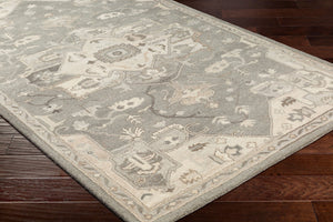 Livabliss Caesar Hand Tufted Wool Area Rug Traditional Pattern for Large Living Spaces Taupe, Tan 7'6" x 9'6" CAE1196-7696