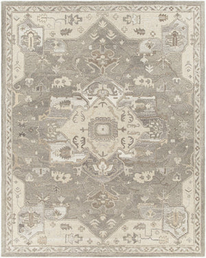 Livabliss Caesar Hand Tufted Wool Area Rug Traditional Pattern for Large Living Spaces Taupe, Tan 7'6" x 9'6" CAE1196-7696