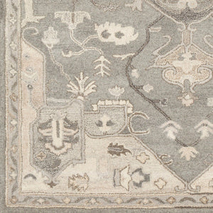 Livabliss Caesar Hand Tufted Wool Area Rug Traditional Pattern for Large Living Spaces Taupe, Tan 7'6" x 9'6" CAE1196-7696