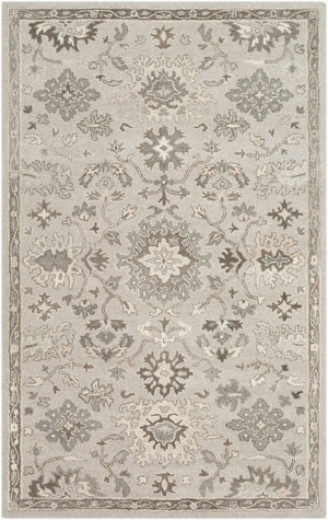 Livabliss Caesar Hand Tufted Wool Area Rug Traditional Style for Living Room or Dining Space Taupe, Charcoal 10' x 14' CAE1197-1014