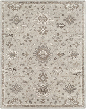 Livabliss Caesar Hand Tufted Wool Area Rug Traditional Style for Living Room or Dining Space Taupe, Charcoal 7'6" x 9'6" CAE1197-7696
