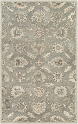 Caesar CAE-1199 2' x 3' Handmade Rug CAE1199-23 Livabliss Surya