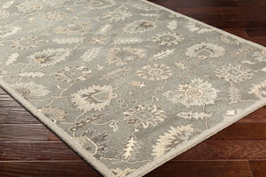 Livabliss Caesar Hand Tufted Wool Area Rug Traditional Pattern for Living Room or Entryway Taupe, Charcoal 2'6" x 8' CAE1199-268