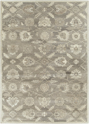 Livabliss Caesar Hand Tufted Wool Area Rug Traditional Pattern for Living Room or Entryway Taupe, Charcoal 8' x 11' CAE1199-811