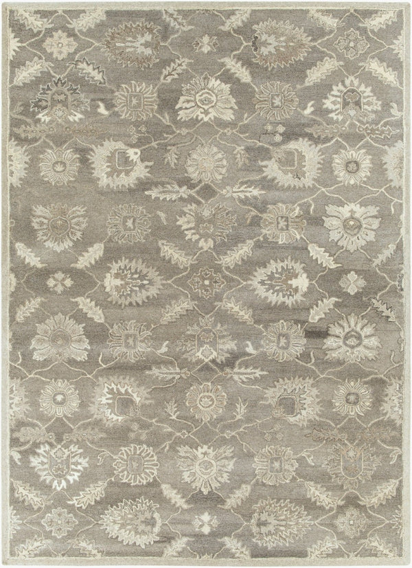 Livabliss Caesar Hand Tufted Wool Area Rug Traditional Pattern for Living Room or Entryway Taupe, Charcoal 8' x 11' CAE1199-811