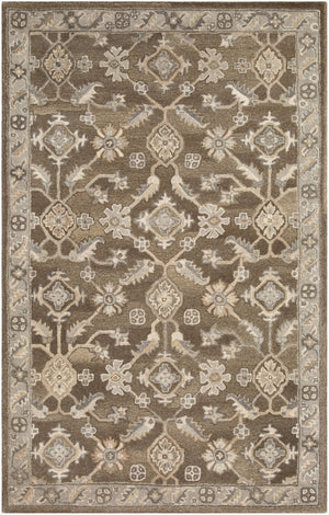 Livabliss Caesar Hand Tufted Wool Area Rug Artisan Crafted Traditional Design for Living Dining Rooms Charcoal, Taupe 9' x 12' CAE1200-912