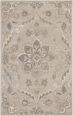 Caesar CAE-1201 2' x 3' Handmade Rug CAE1201-23 Livabliss Surya