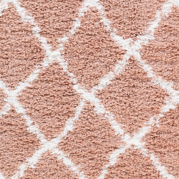 Livabliss California Shag Plush Polypropylene Area Rug Moroccan Global Pattern Boho Living Room CAF2300-5373