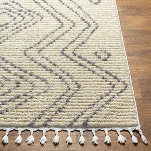Livabliss Casablanca High Pile Shag Rug Plush Polyester Weave for Living Room or Bedroom CAG2317-9212