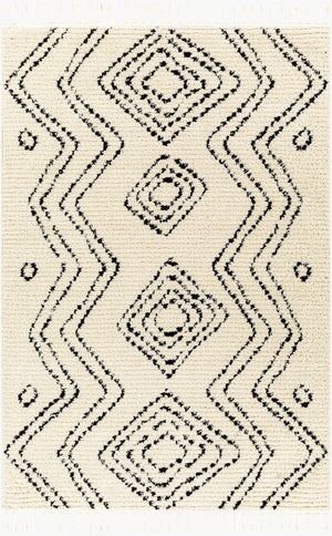 Livabliss Casablanca High Pile Shag Area Rug Plush Polyester Weave for Living Room Comfort CAG2318-9212