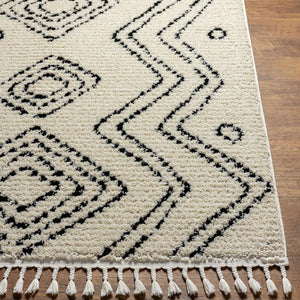 Livabliss Casablanca High Pile Shag Area Rug Plush Polyester Weave for Living Room Comfort CAG2318-9212