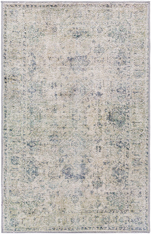 Calhoun CAH-2301 2'7" x 7'3" Machine Woven Rug CAH2301-2773 Livabliss Surya