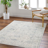 Calhoun CAH-2301 8'10" x 11'10" Machine Woven Rug CAH2301-8101110 Livabliss Surya