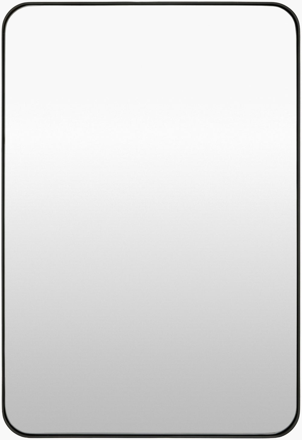 Livabliss Carbondale Frameless Rectangle Wall Mirror Minimalist Modern Accent for Any Room CALE004-3524