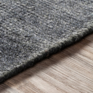 Surya Calm Area Rug 2' X 3' - Hand Woven Viscose Beauty, Modern Design For Timeless Home Decor Style Charcoal Viscose Cam2301-23